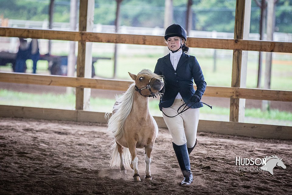4H-District-15-0457.jpg
