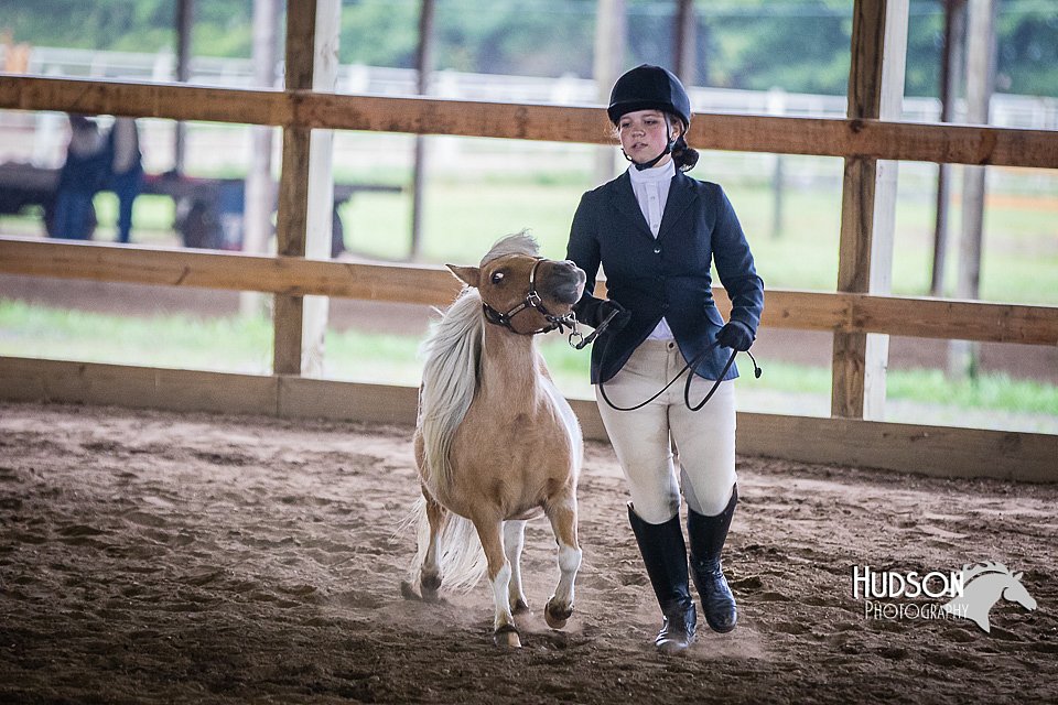 4H-District-15-0458.jpg