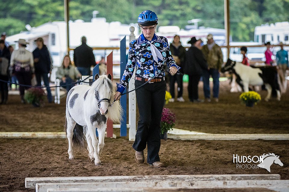 4H-District-15-0472.jpg