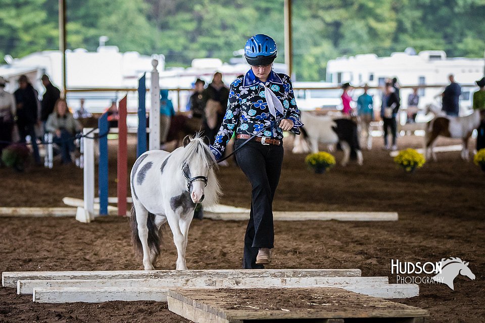 4H-District-15-0474.jpg