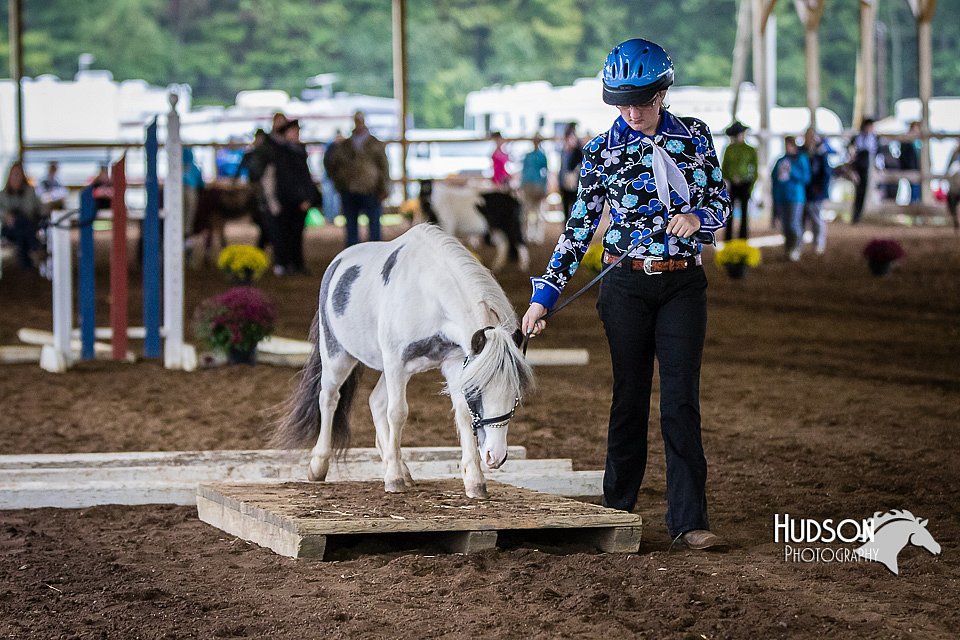 4H-District-15-0478.jpg