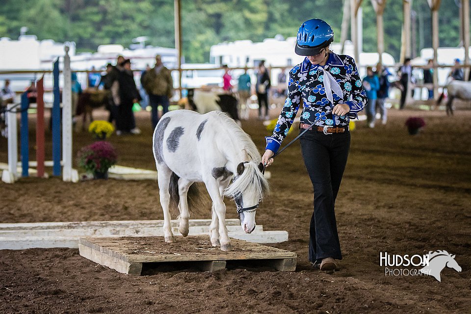 4H-District-15-0479.jpg