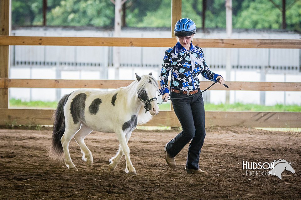 4H-District-15-0483.jpg