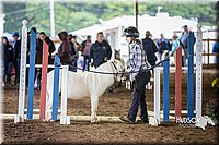 4H-District-15-0406.jpg