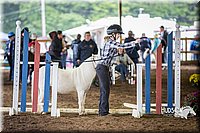 4H-District-15-0407.jpg