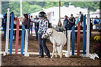 4H-District-15-0409.jpg