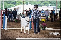 4H-District-15-0411.jpg