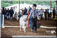 4H-District-15-0412.jpg