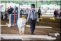 4H-District-15-0413.jpg