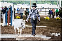 4H-District-15-0414.jpg