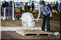 4H-District-15-0415.jpg