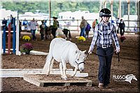 4H-District-15-0416.jpg