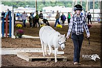 4H-District-15-0417.jpg