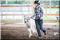 4H-District-15-0419.jpg