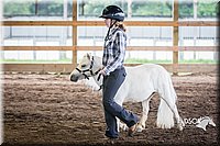 4H-District-15-0420.jpg