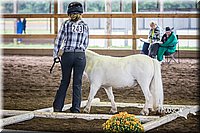 4H-District-15-0422.jpg