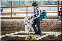 4H-District-15-0423.jpg