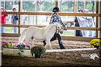 4H-District-15-0424.jpg