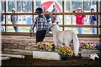 4H-District-15-0428.jpg