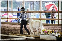 4H-District-15-0429.jpg