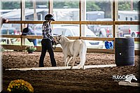 4H-District-15-0430.jpg