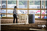 4H-District-15-0431.jpg