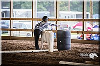 4H-District-15-0432.jpg