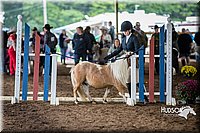 4H-District-15-0433.jpg