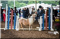 4H-District-15-0434.jpg