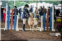 4H-District-15-0437.jpg