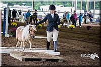 4H-District-15-0446.jpg
