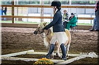 4H-District-15-0454.jpg