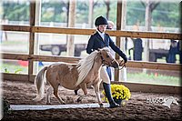 4H-District-15-0455.jpg