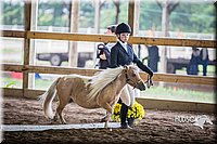 4H-District-15-0456.jpg
