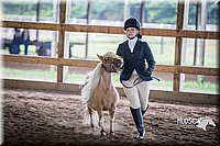 4H-District-15-0457.jpg