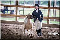 4H-District-15-0458.jpg