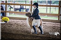 4H-District-15-0459.jpg