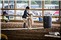 4H-District-15-0461.jpg
