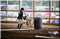 4H-District-15-0463.jpg