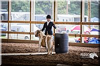 4H-District-15-0465.jpg