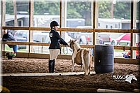 4H-District-15-0466.jpg