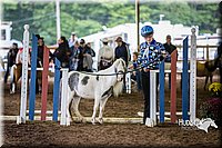 4H-District-15-0467.jpg