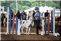 4H-District-15-0468.jpg