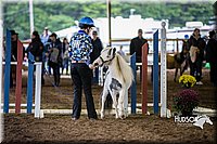 4H-District-15-0469.jpg