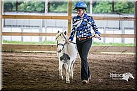 4H-District-15-0486.jpg