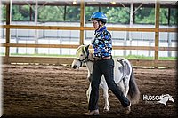 4H-District-15-0487.jpg