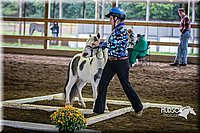 4H-District-15-0488.jpg