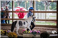 4H-District-15-0489.jpg