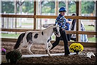 4H-District-15-0490.jpg