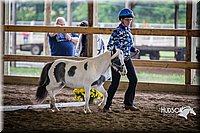 4H-District-15-0491.jpg